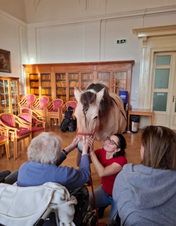 Po delší době jsme s radostí znovu otevřeli brány hipoterapie našim klientům 🐴